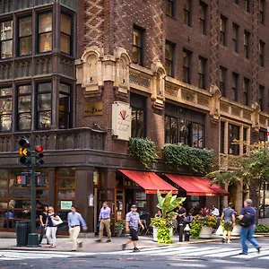 Library By Library Collection **** New York
